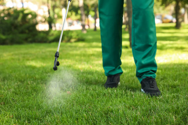Best Local Pest Control Services  in Double Oak, TX