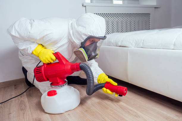 Best Wasp Removal Services  in Double Oak, TX