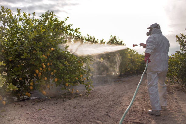 Pest Prevention Services in Double Oak, TX